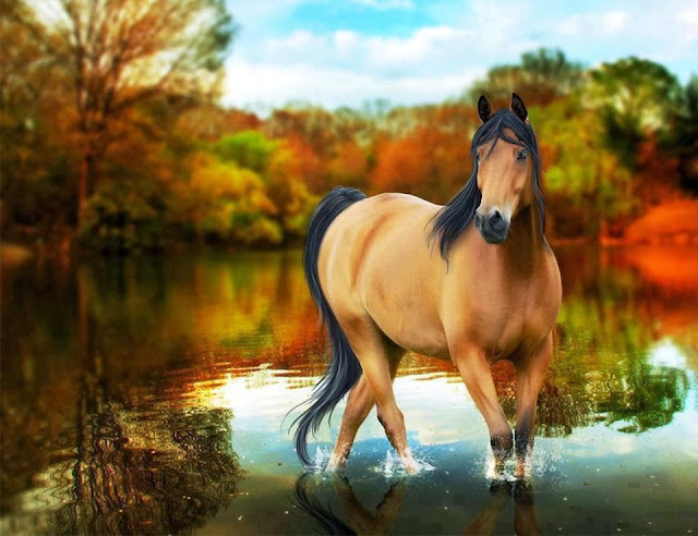 horse wallpaper hd download