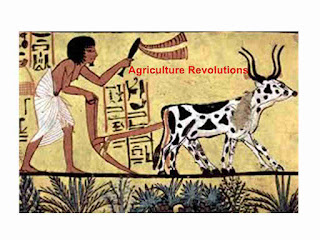 agriculture revolutions