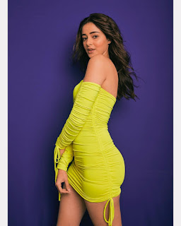 ananya pandey lehenga photos, ananya pandaey photoshoot, ananya pandey beautiful photos