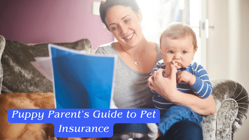 Puppy Parent's Guide to Pet Insurance