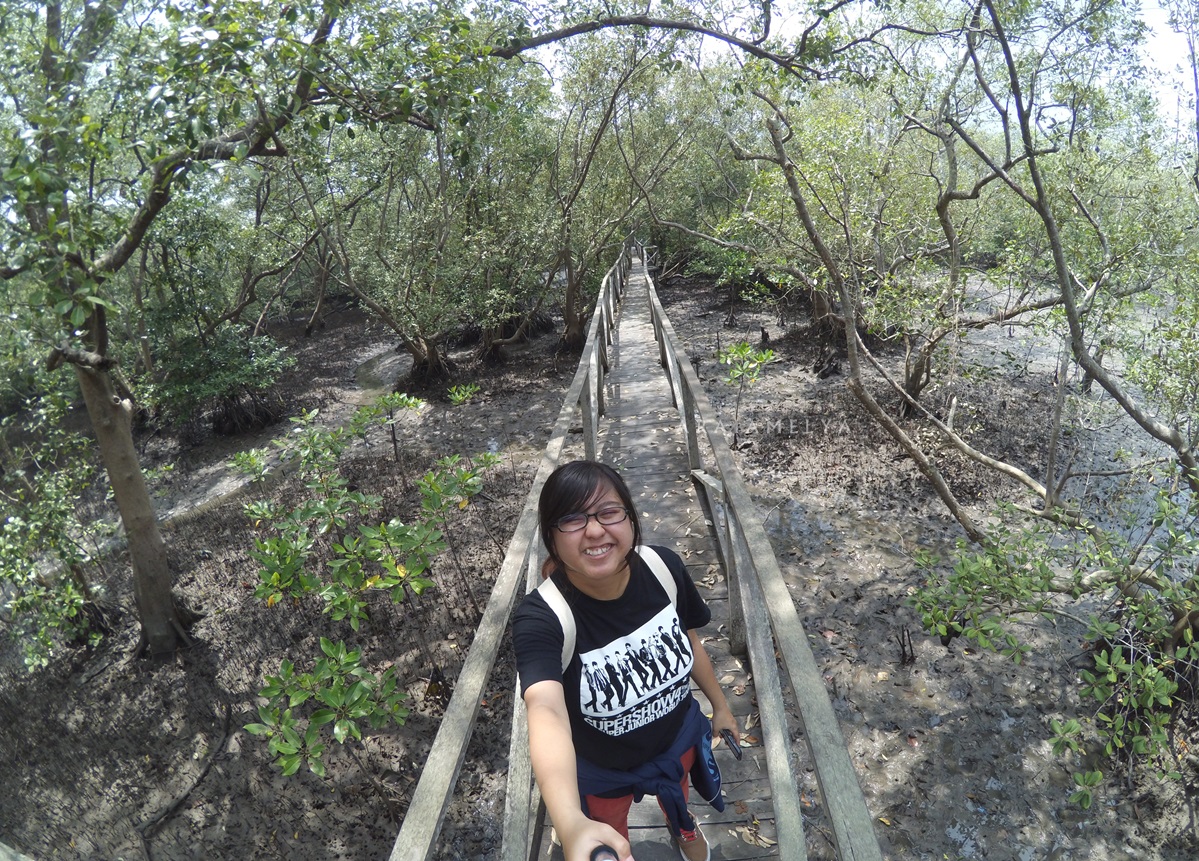 aku di hutan mangrove Margomulyo