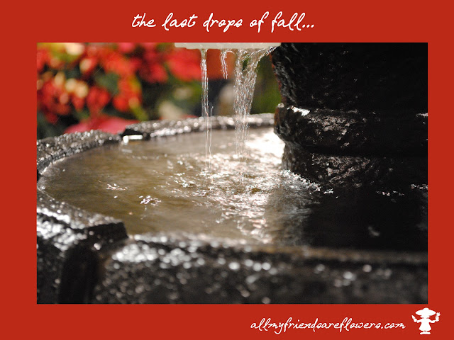 fountains, fall, water fountains, allmyfriendsareflowers.com