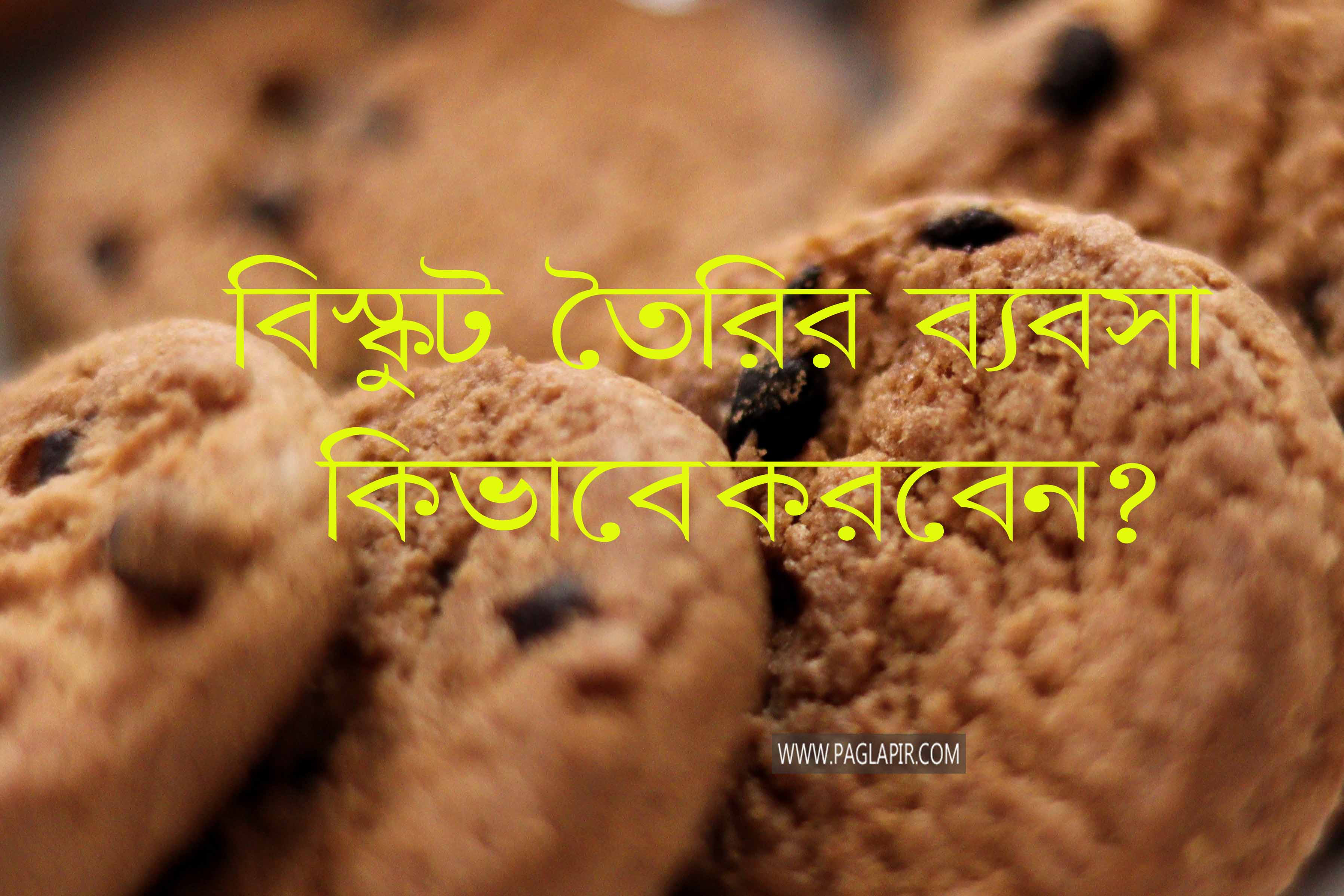 বিস্কুট তৈরির ব্যবসা করে উপার্জন করতে চান? Biscuit Making Business Idea Bangla