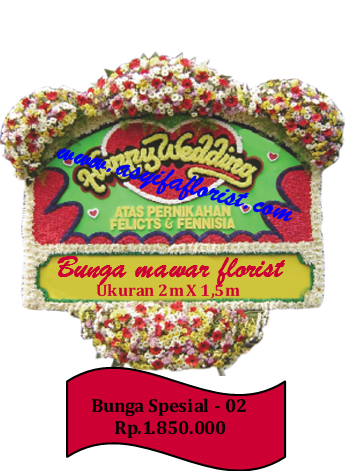 Asyifa Bunga Mawar Florist Tlp/Watshp: 085775681986 Toko 