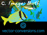 vector graphic and photo for large format printing