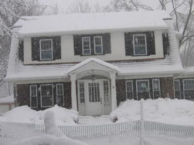 Minimalist Home Designs Snow