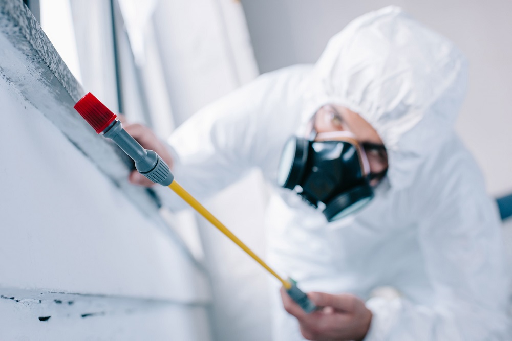 Best Pest Control