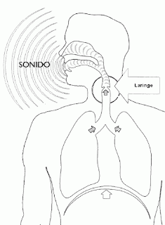 producir sonido