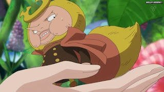 ワンピースアニメ ドレスローザ編 641話 カブ | ONE PIECE Episode 641