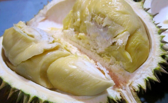 Durian medan
