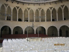 IMG_3797