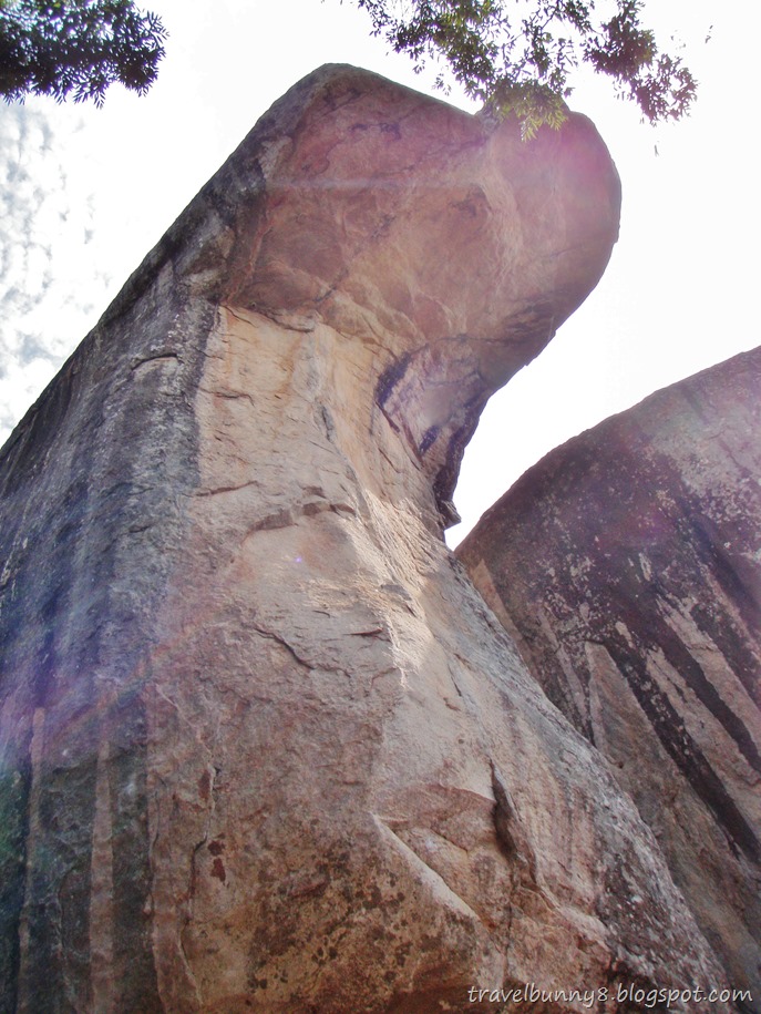 PA100109 PA100109