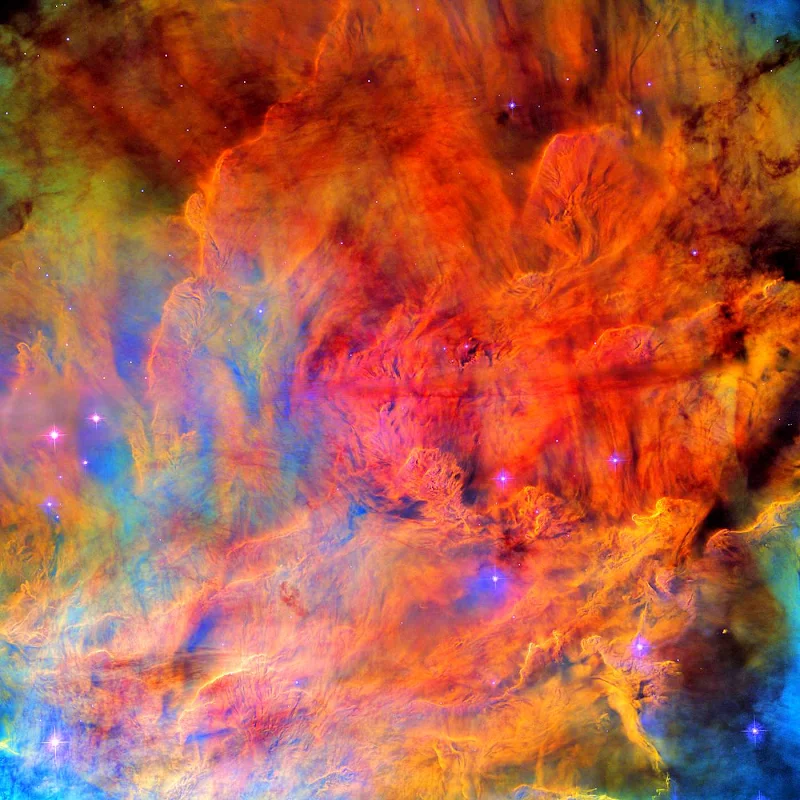 Nuvens de gás cobrem toda a vista, em uma variedade de cores ousadas. No centro o gás é mais brilhante e muito texturizado, lembrando uma fumaça densa. Nas bordas é mais esparso e fraco. Várias pequenas estrelas azuis brilhantes estão espalhadas pela nebulosa