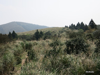 Yangmingshan Park, Taiwan