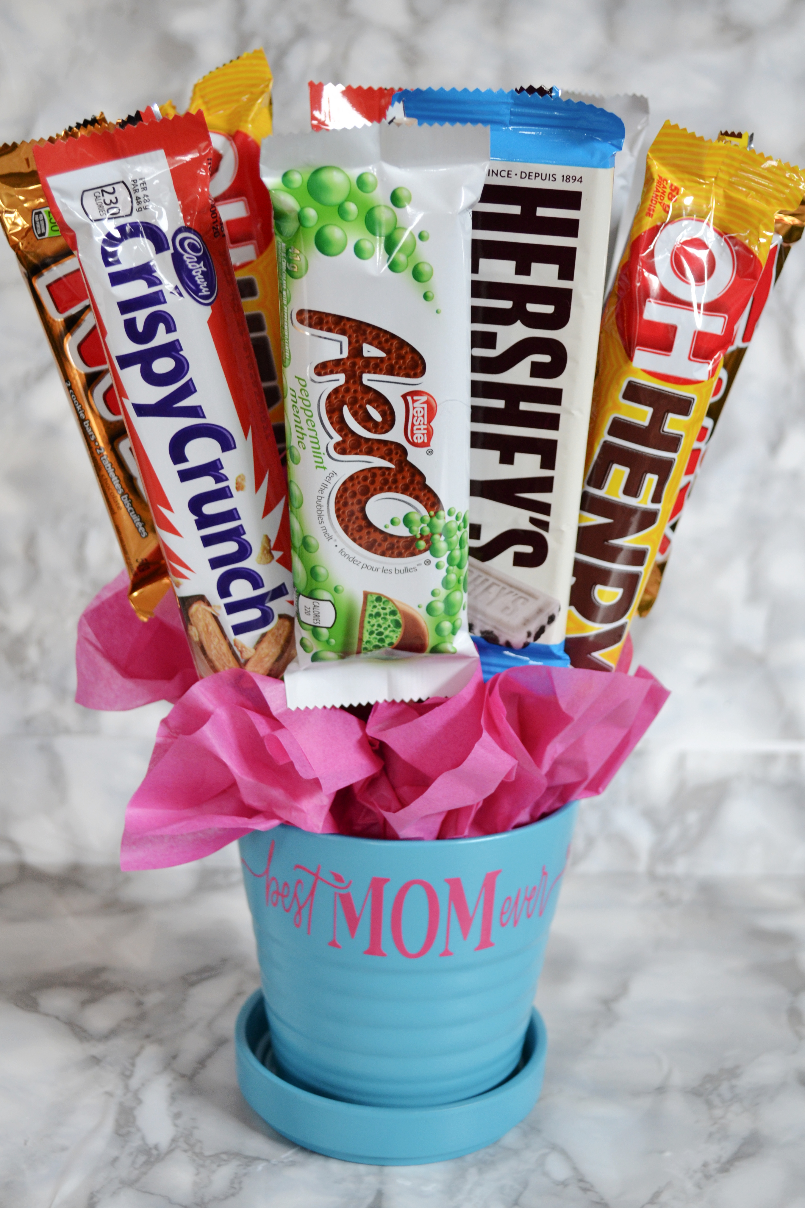 DIY Mother's Day gift for the crazy dog mom! – Basil's Travels