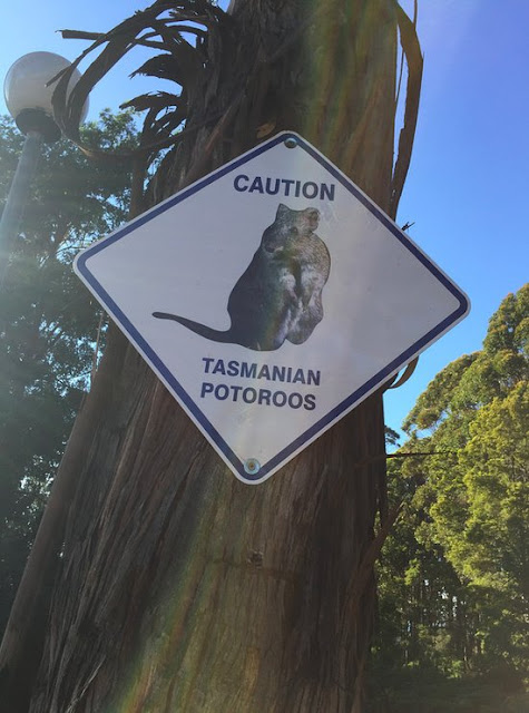 wildlife signs