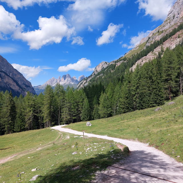 Forcia Neigra – Passo San Nicolò - Val Contrin