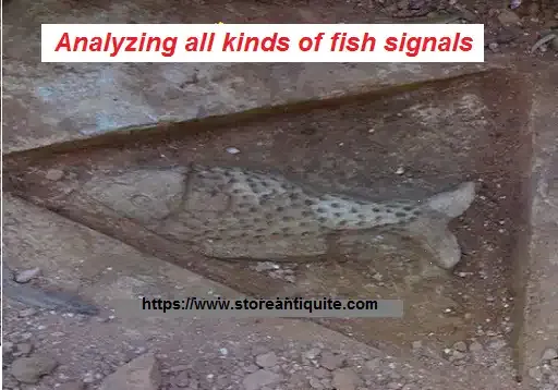 Analyzing all kinds of fish signals