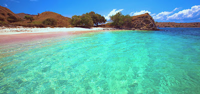   Pesona Keindahan Pantai Pink Pulau Komodo Indonesia