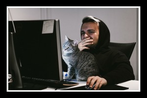 Blaudience-meaning-cat-man-laptop