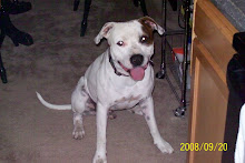 Here is a better shot of Petey, but not nearly as funny as the other one!