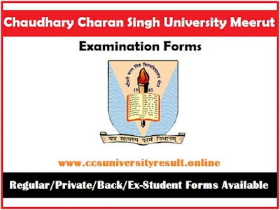 CCS University Exam Form Online 2024