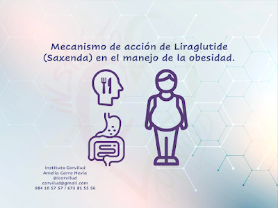 blog,ameliacarro,institutocorvilud,cardiologiadeportiva,cardiologogijon,cardiologoasturias,cardiologoaviles,dietasaxenda,saxenda,liraglutide,metodosaxenda,obesidad