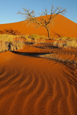 c4 images and safaris, erongo, namibia, sesfontein, sossusvlei