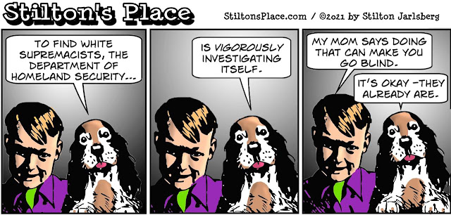 stilton’s place, stilton, political, humor, conservative, cartoons, jokes, hope n’ change, DHS, terror, white supremacy, masturbation, blind, boy and dog