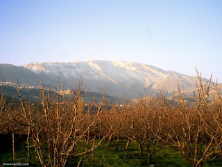 Mount Hermon