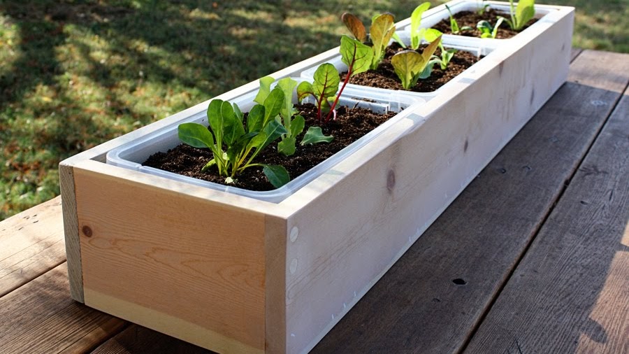 TELUS Garden - Building Garden Boxes