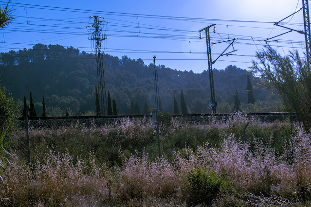 Tutorial de fotografía a alta velocidad...