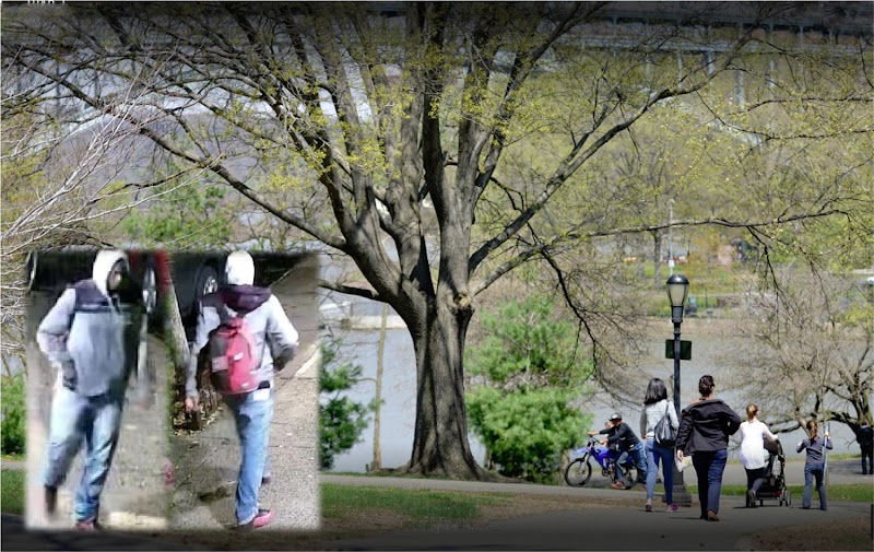 Acusan adolescente dominicano por agresión sexual y atraco a una mujer en parque del Alto Manhattan