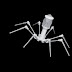 Bacteriophages as a Possible weapon for COVID-19