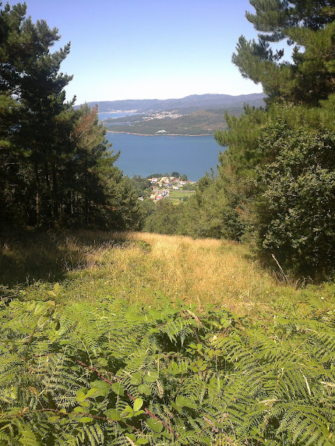 La ría desde el cortafuegos en el monte San Lois Noia