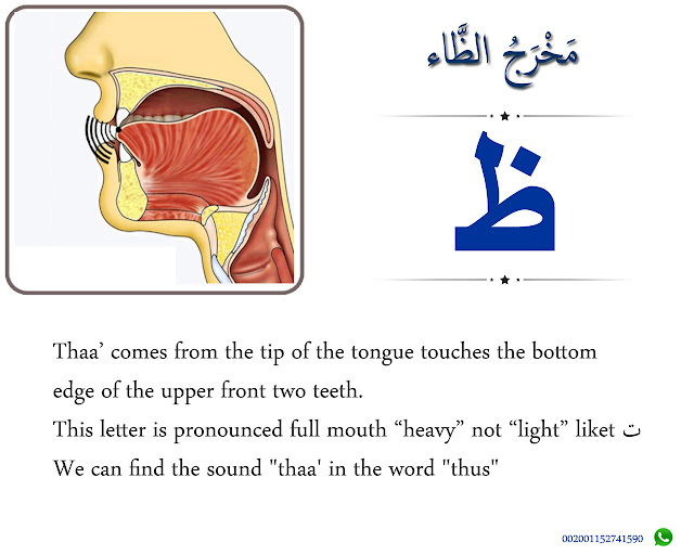 The Articulation Point of Thaa