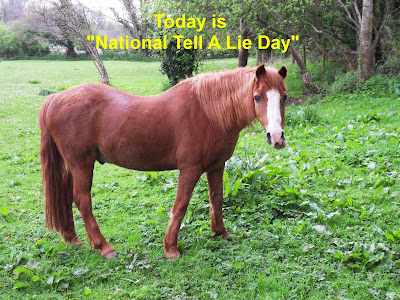 National Tell A Lie Day horse