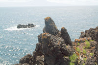 Café Portugal - PASSEIO DE JORNALISTAS nos Açores - São Jorge - Urzelina