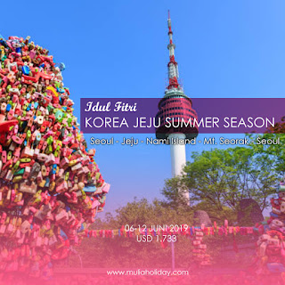 Paket Tour Korea Summer