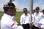 Presiden Jokowi Direncanakan Kunjungi Pasar Beran dan Panen Raya di Ngawi