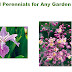  6 Trusted Perennials for Any Garden