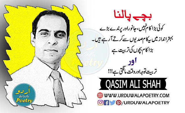 Qasim-Ali-Shah-Quotes-In-Urdu-with-text-and-Images