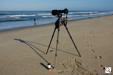 Fujifilm X100 Sample Image