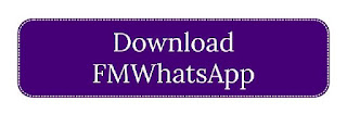 FMWhatsApp APK Download  और update कैसे करे।