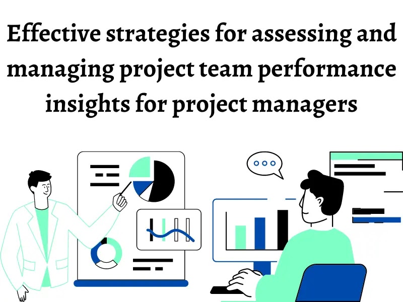 Assessing and managing project team performance insights for project managers