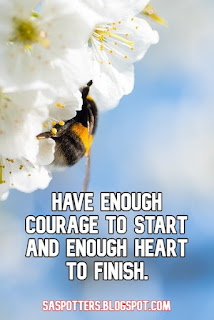 Have enough courage to start and enough heart to finish.