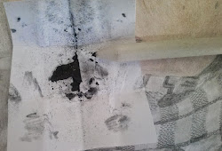 Grafit kalem tozu