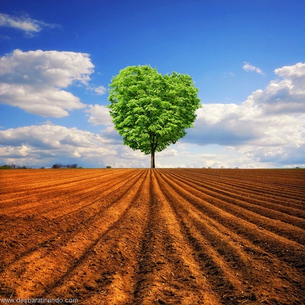 landscapes-paisagens-desbaratinando (43)