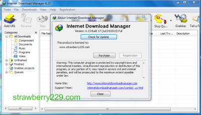 internet-download-manager-6.23-build-17