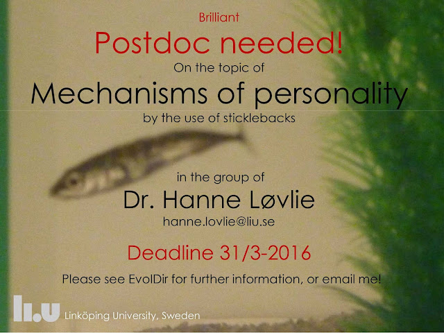 postdoc job offer in Sweden